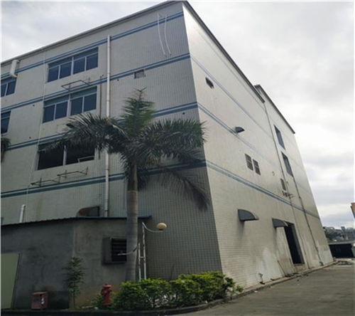 教育培训学校房屋抗震评估检测鉴定中心 新闻